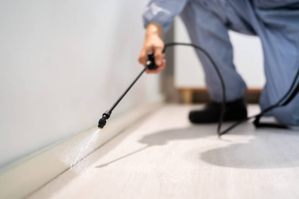 Licensed Pest Control service in Glasscock County County, TX - Nex Pest Control