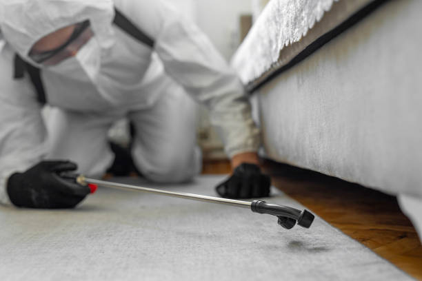 Professional Pest Control technician working in Glasscock County County, TX